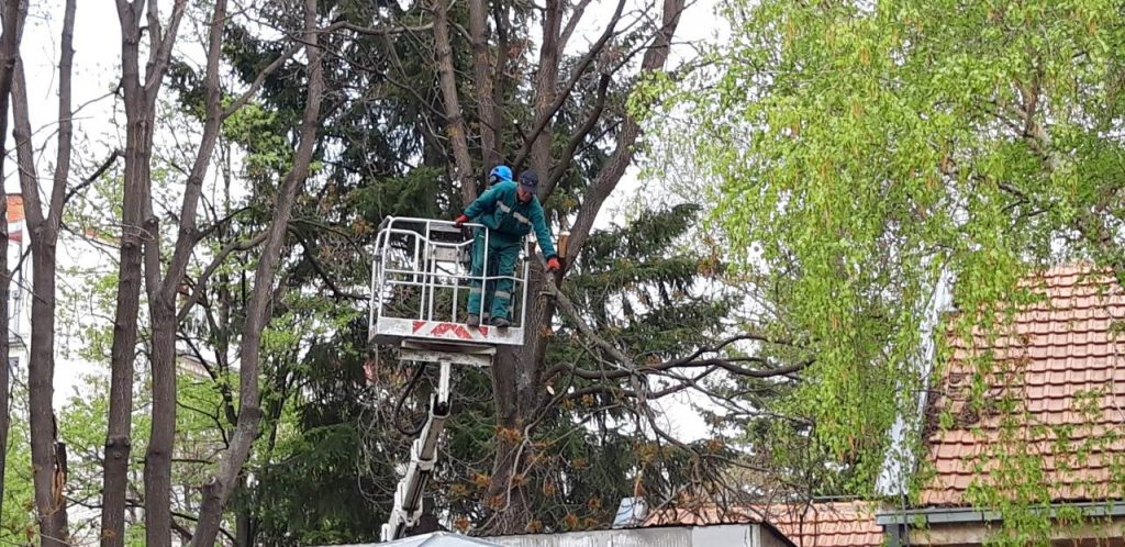 servisne informacije