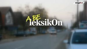 A BE leksikOn njeknja